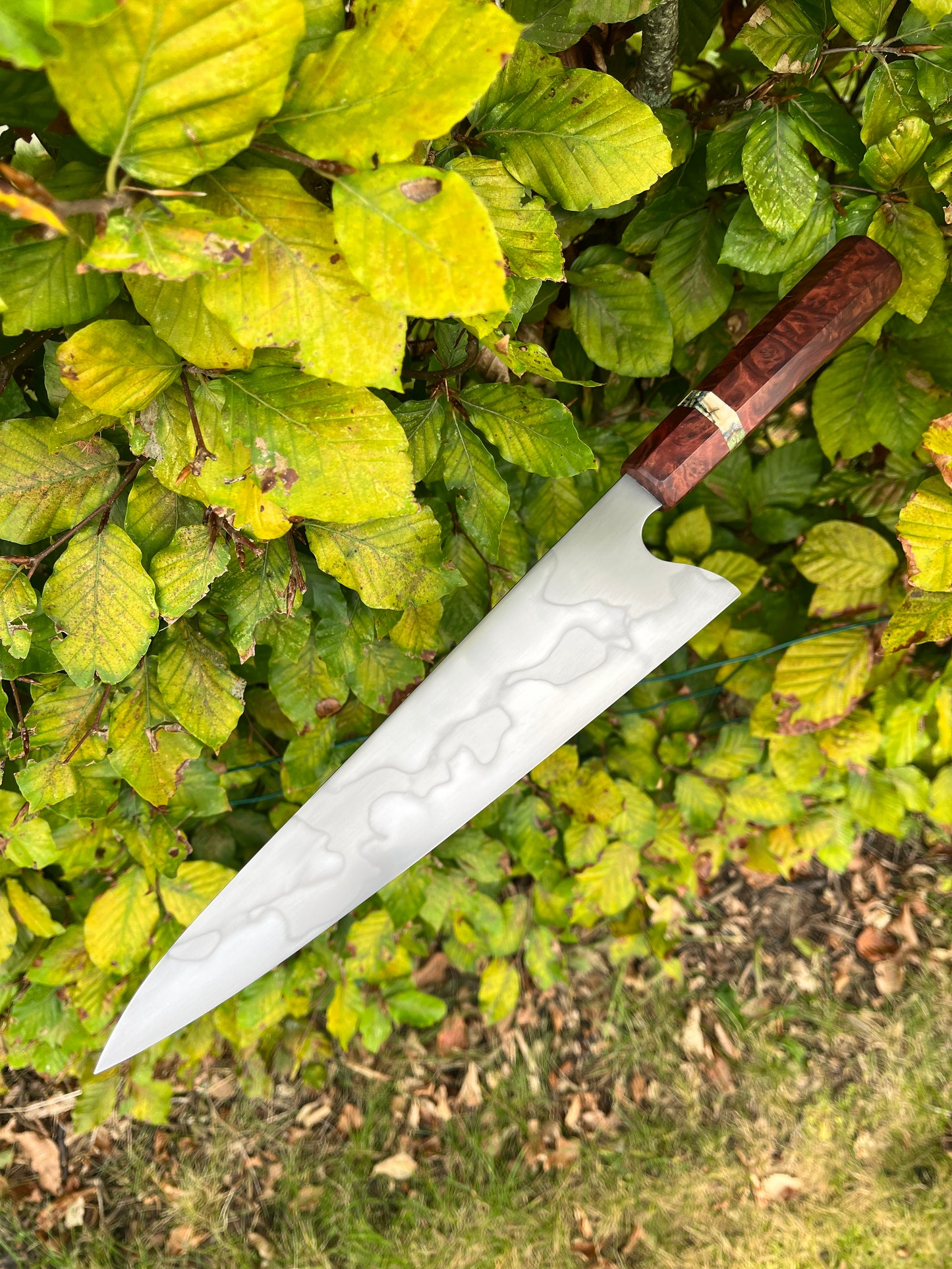 250MM Honyaki Gyuto